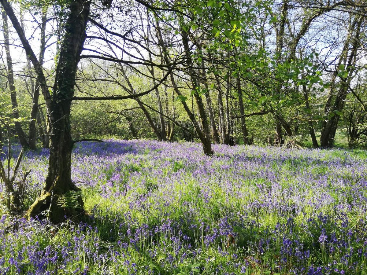 Wray Valley มอร์ตันแฮมสเตด ภายนอก รูปภาพ