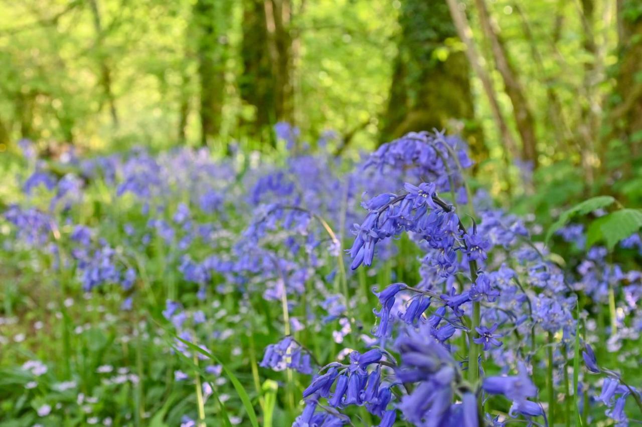 Wray Valley มอร์ตันแฮมสเตด ภายนอก รูปภาพ