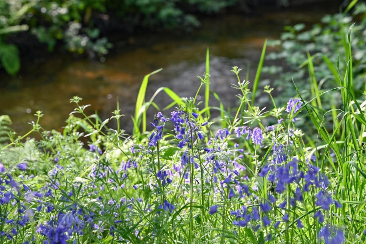 Wray Valley มอร์ตันแฮมสเตด ภายนอก รูปภาพ