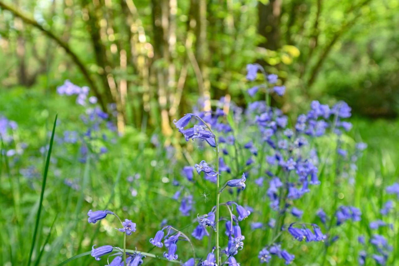 Wray Valley มอร์ตันแฮมสเตด ภายนอก รูปภาพ