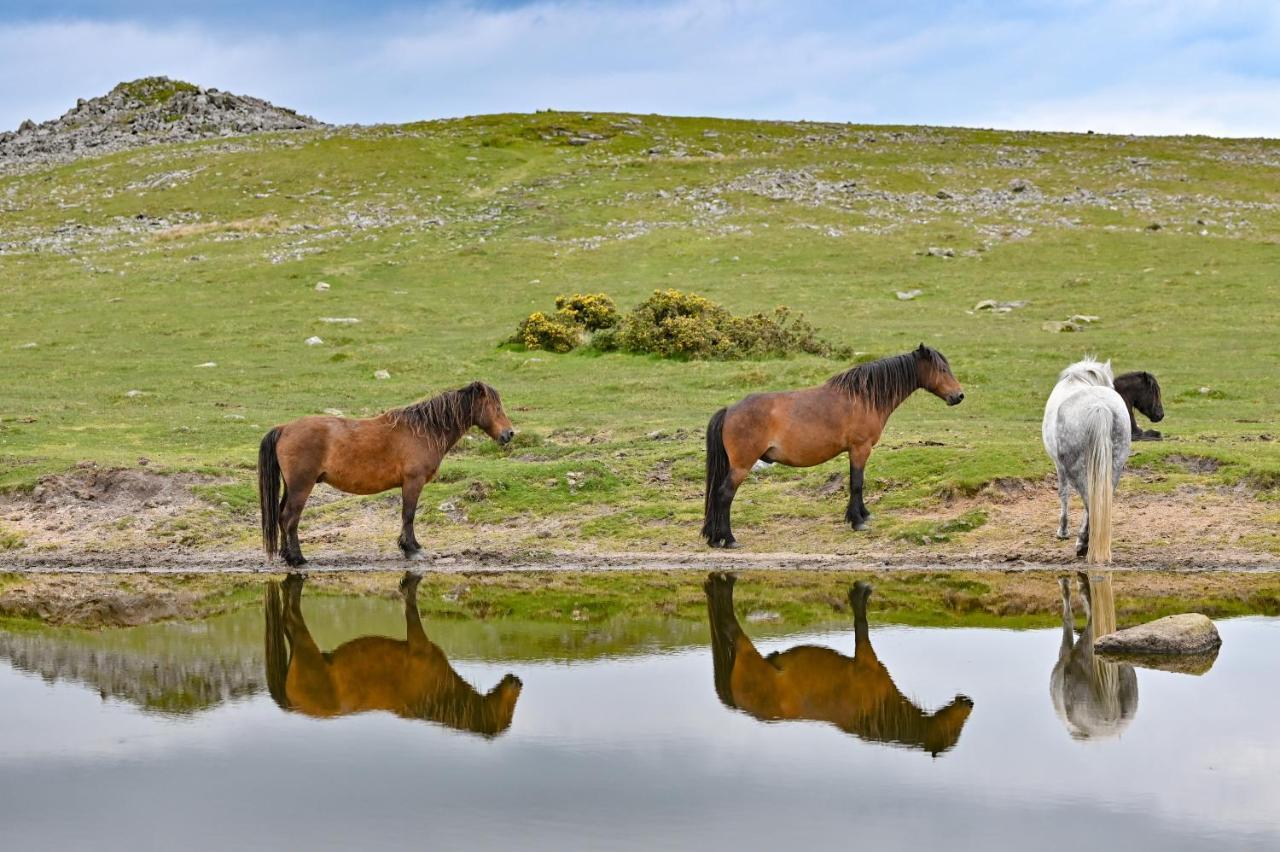 Wray Valley มอร์ตันแฮมสเตด ภายนอก รูปภาพ